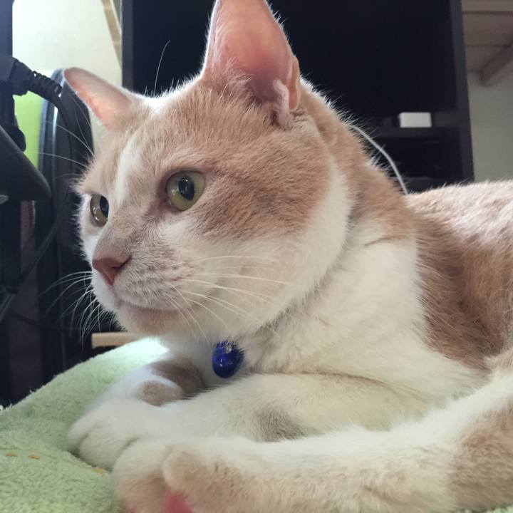 8d236d9d 978e 4c78 b2a4 19b1dba731ad