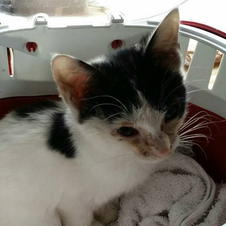 8d23f049 13ab 4db2 ae1b 85e7fee63f26