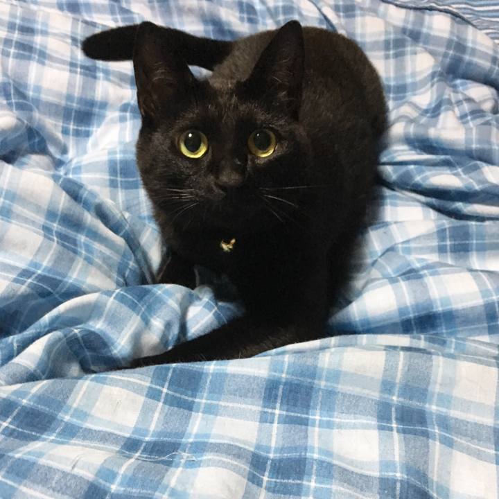 8d23f1e0 c264 4c73 98e2 81e1d164a739