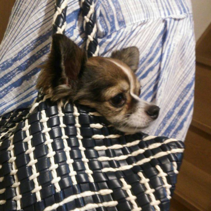 8d24806e e232 467e acb2 fb6716d4c625