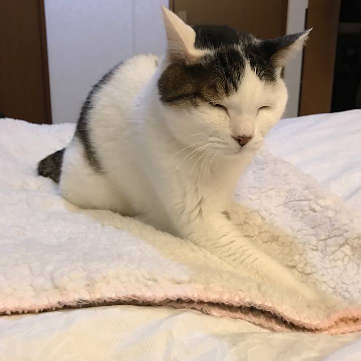 8d257241 5b63 4ab8 9fe8 492752b651b8