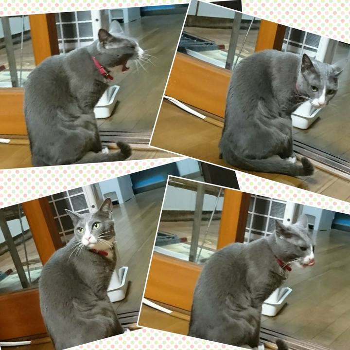 8d259983 6f78 471b 8337 99e0fdb01873