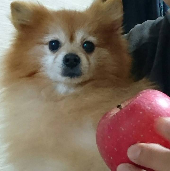 8d2651cd 70fe 418c 8c2e 4e7fd1b754da