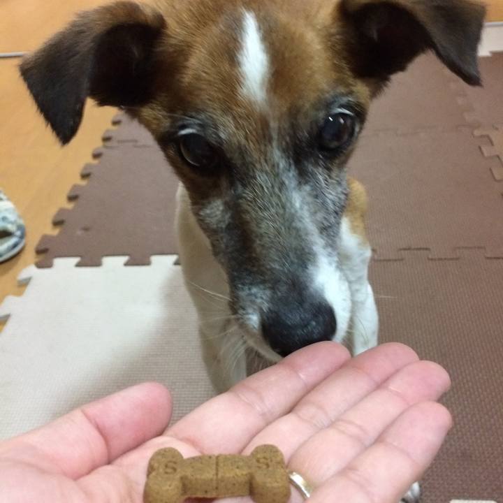 8d267d97 6471 40d8 b1b2 3fd086750e01