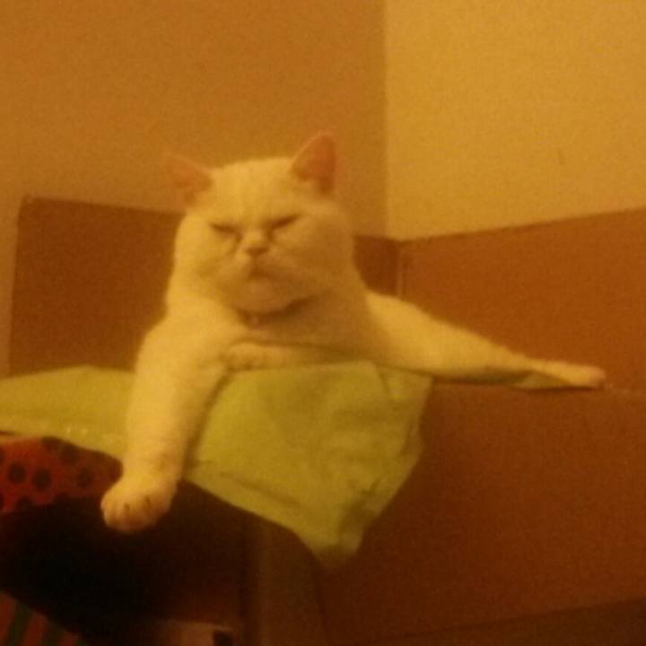 8d26e497 6ca4 4e9e 9e5f 529bf0edaced