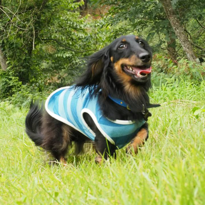 8d279514 da71 4f46 bd16 9a3c35948ff8