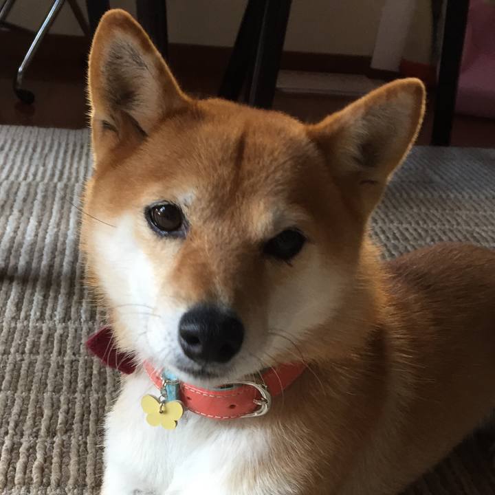 8d27a8cc ea2a 477a b572 67c1b9875cb9