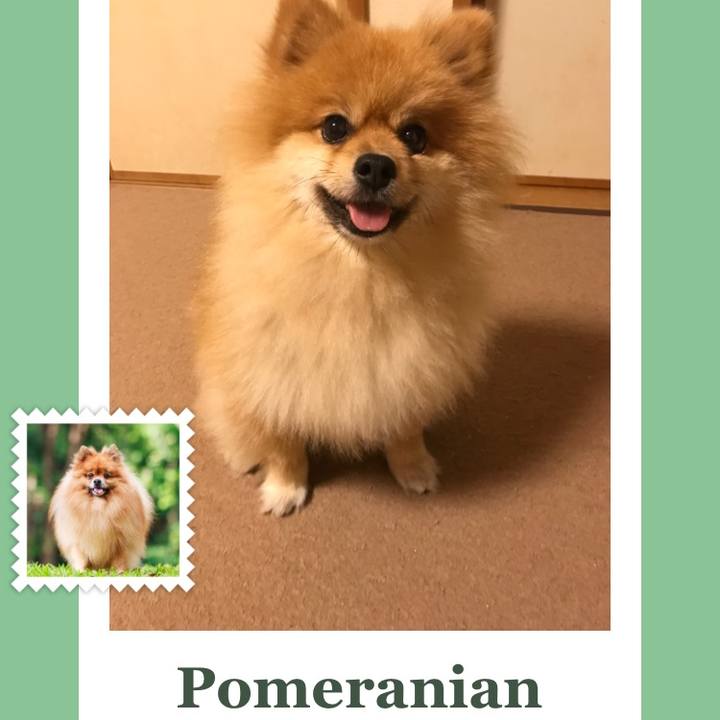 8d28099e 5782 492e b285 03984e09b08f