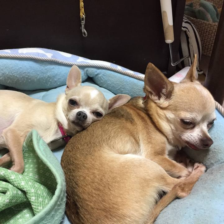 8d281d06 d6d2 4422 a755 d7a61157c738