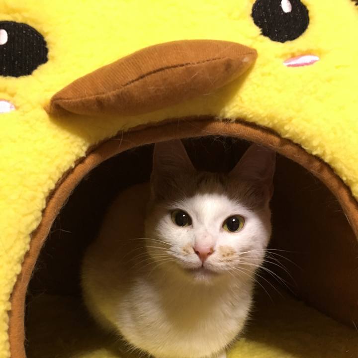 8d287bbf 0bfe 424b 842f 83d7ba7f34b1