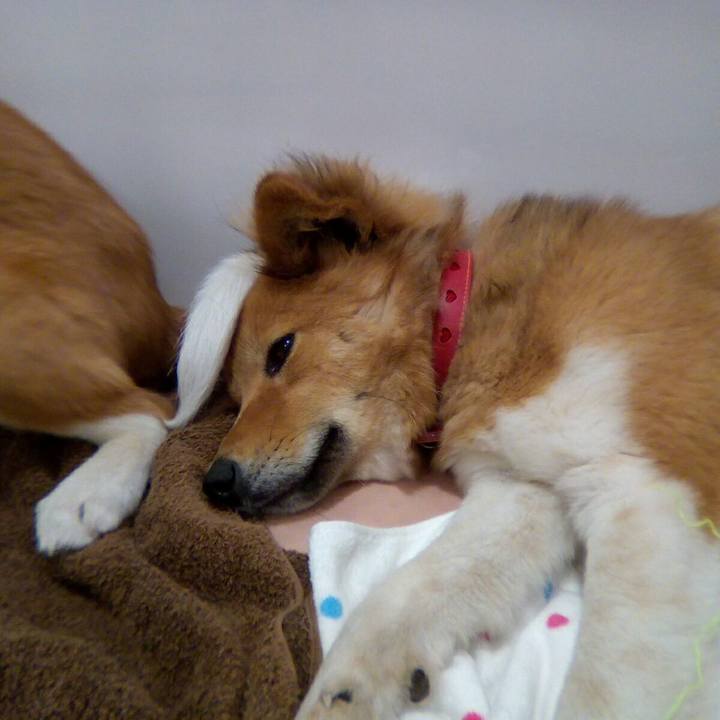 8d2888c2 88f1 43ec 857f a8f088896797