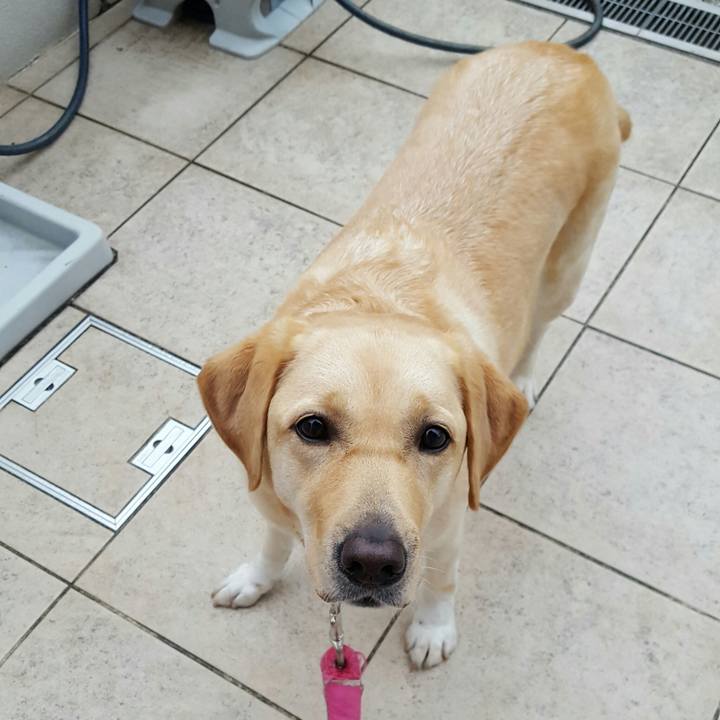 8d288fa2 c1a3 44ea a71d 2a973a240b64