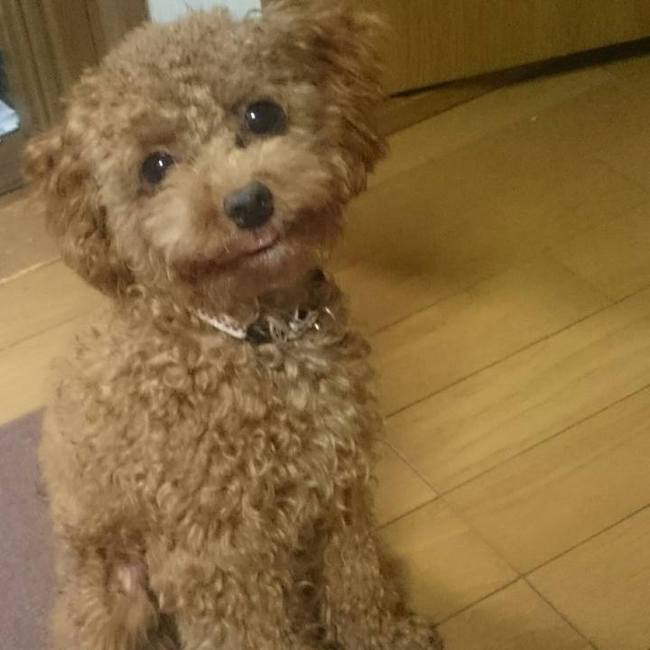 8d291bcf e9a5 4109 8bea 3a9022344857