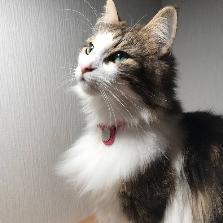 8d293904 c4bd 4c47 b6da 93b52e8eceaf