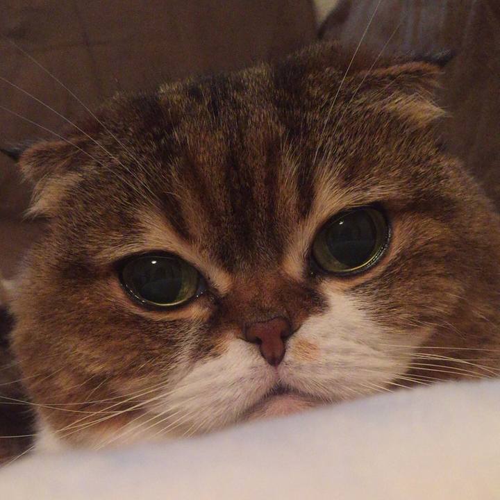 8d2b0534 51b0 492b 86dd 37f3f0191ff0