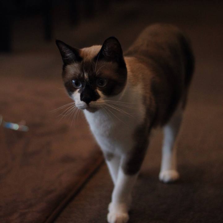 8d2bc312 8312 4b81 825e 8b7fb2f6c1c1