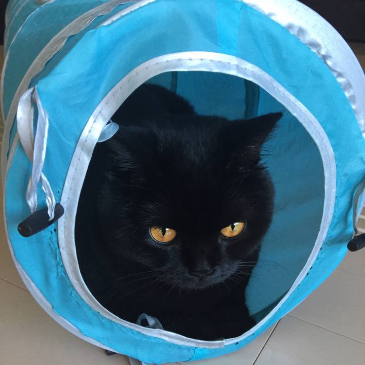 8d2bc829 ea68 4969 b3bb 67142a3547a5