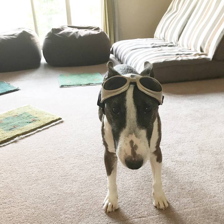 8d2bd0d9 5b36 4fad aba8 110949d45732