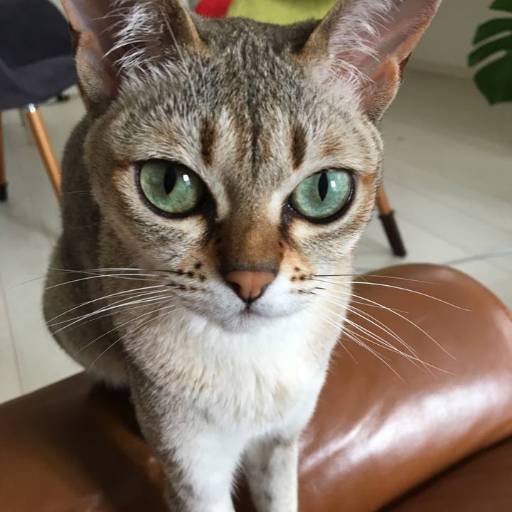 8d2ce0f5 1ae3 4b90 bd08 c1f16510809c