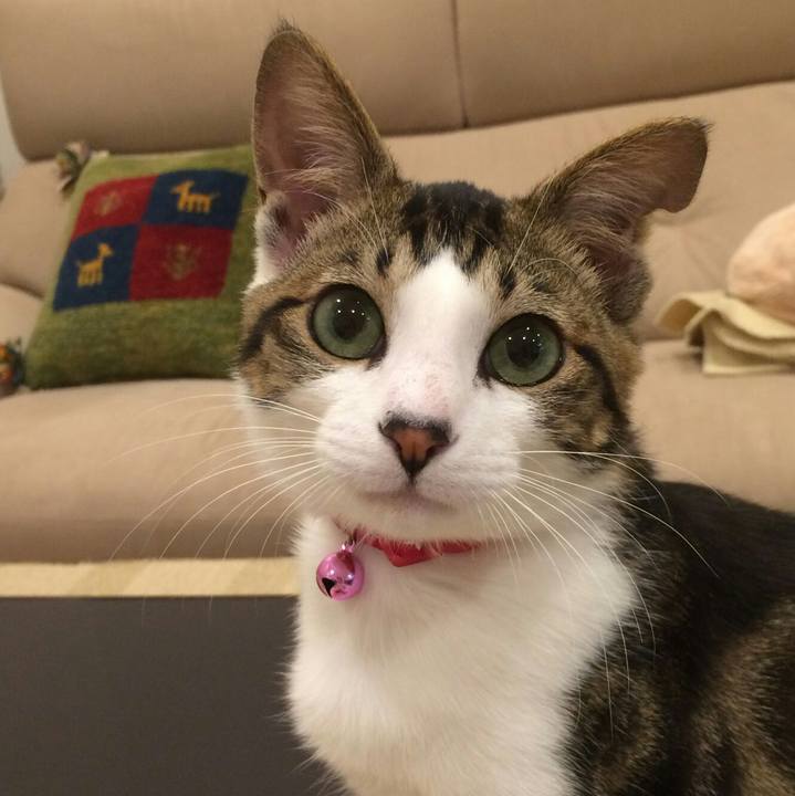 8d2d14c6 6d8e 4c2e 96af 093cf75f66a6