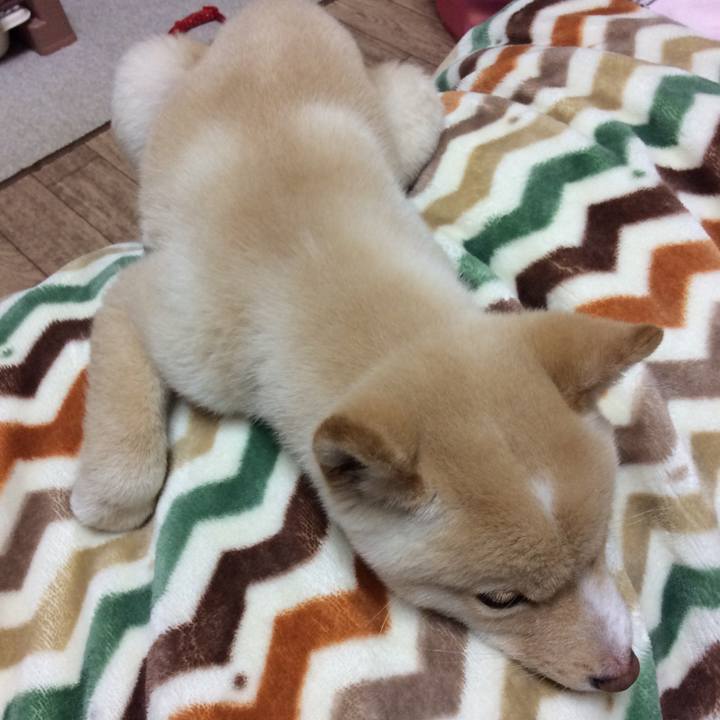 8d2d3fd9 0357 4116 bb02 b0646ca32fd2