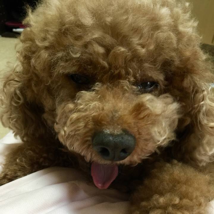 8d2d47d4 0e72 4d2a ae7d 0555308eac5f