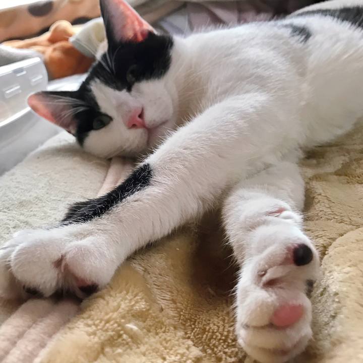 8d2d8d6c cc94 4ac5 907e 470f7fe53ed3