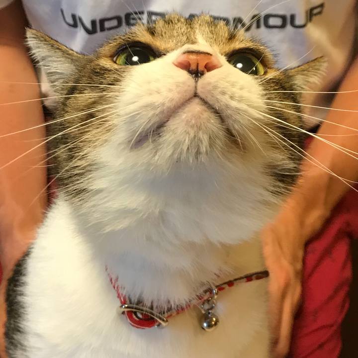 8d2dec46 dd89 4fe1 8192 78dc4c840747