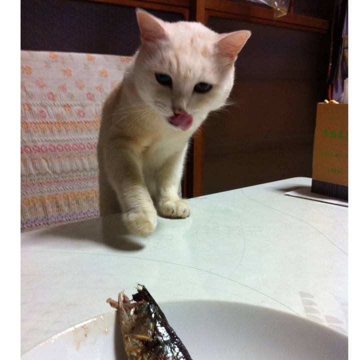 8d2df35e fdad 4621 a7f3 7f9a601de478