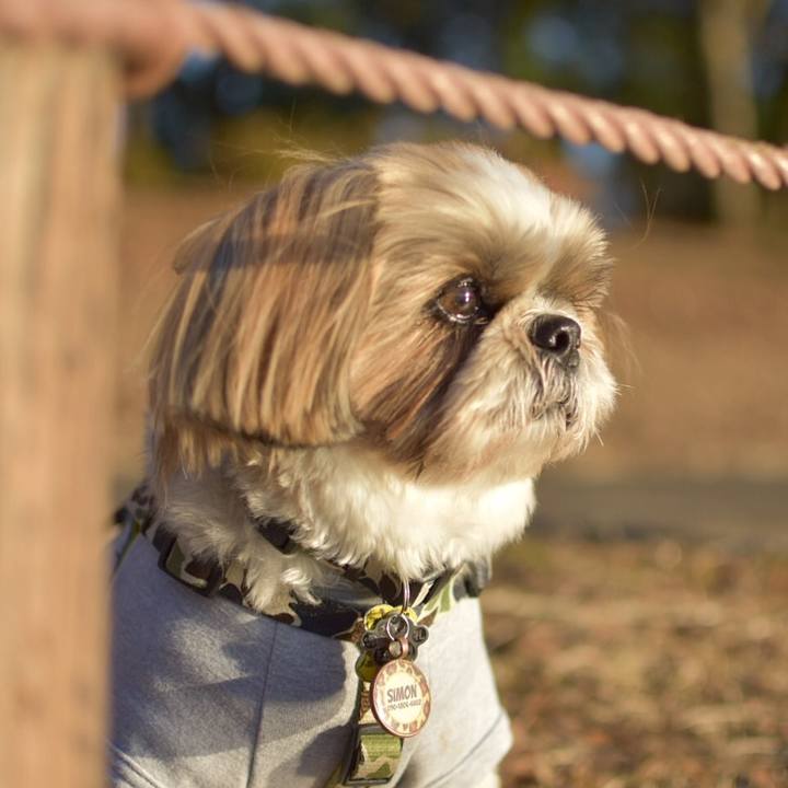 8d2e1b7a 093e 4852 bb9e 84f3968f495f