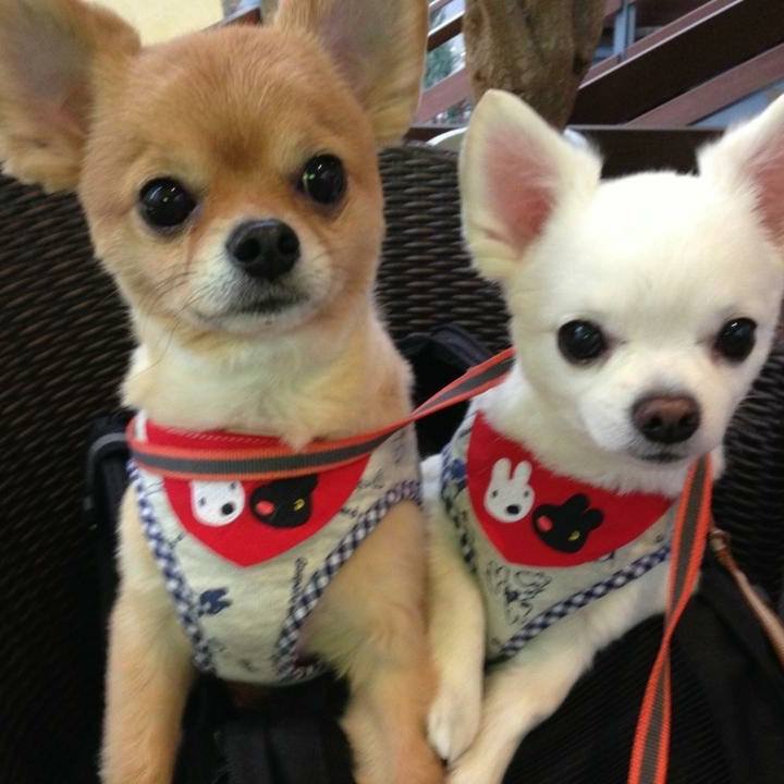 8d2e3732 4cb6 4714 bd25 6506a7c40566