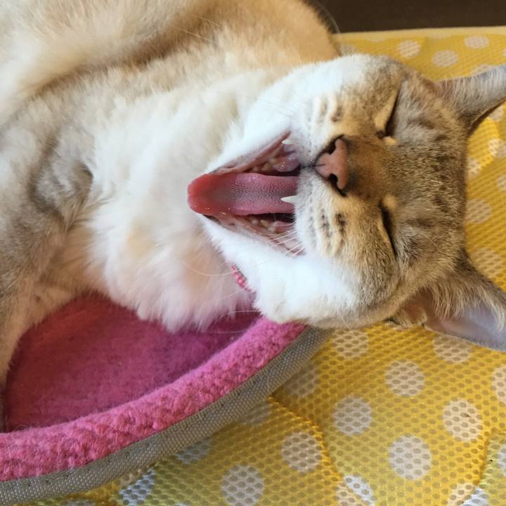 8d2ed9f1 57a8 4825 be84 821248669246