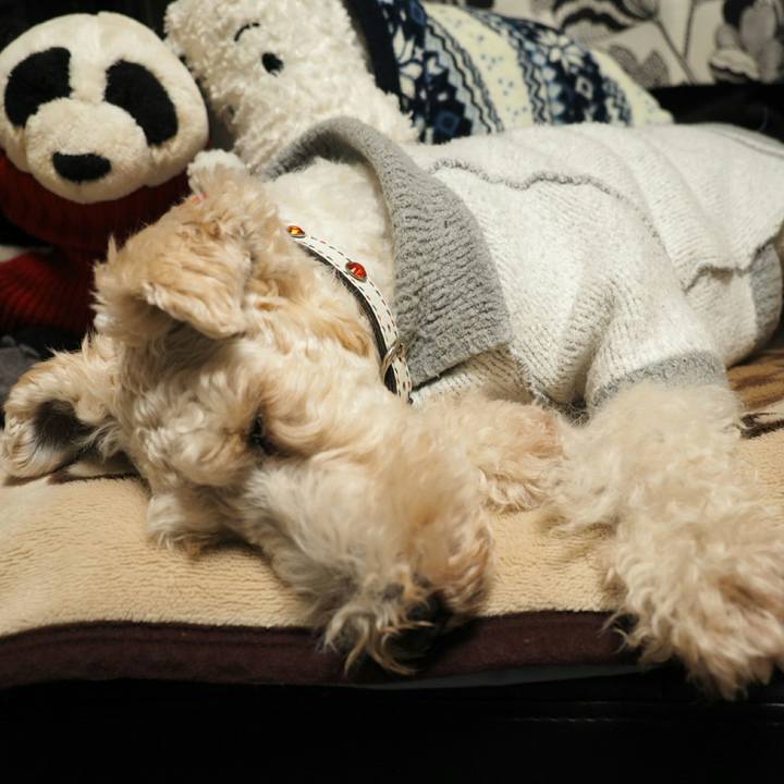 8d2fe566 cc60 4f9f aae4 1de5bee0d0a0