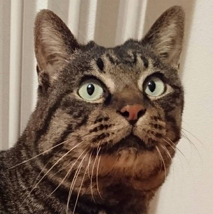 8d3058ab 964c 49b5 8cbb a6bbc7c252fe