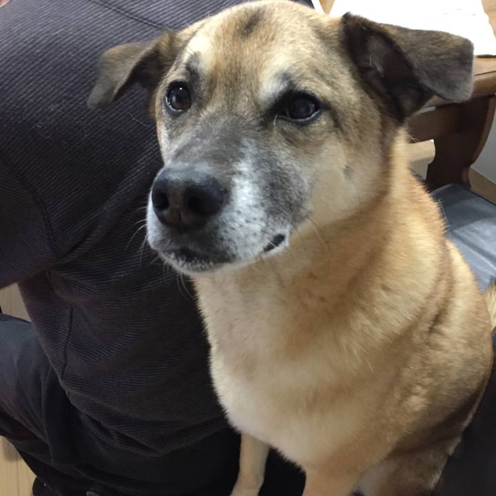 8d30a387 f688 42c5 99be a200df0e12e3