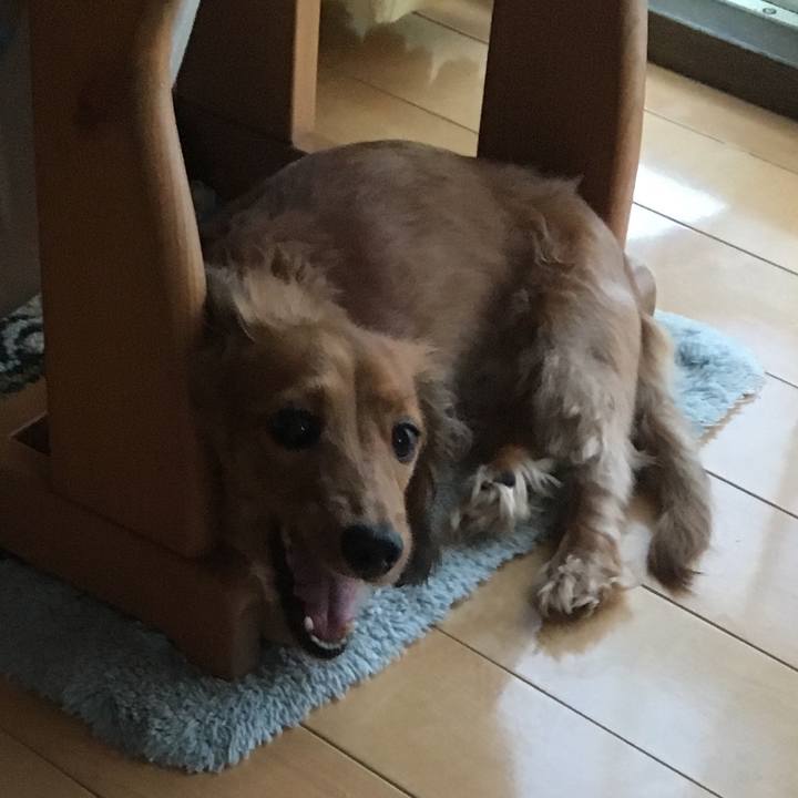 8d31d0c8 f5ab 4cfd 84ad 1b0da5c73702