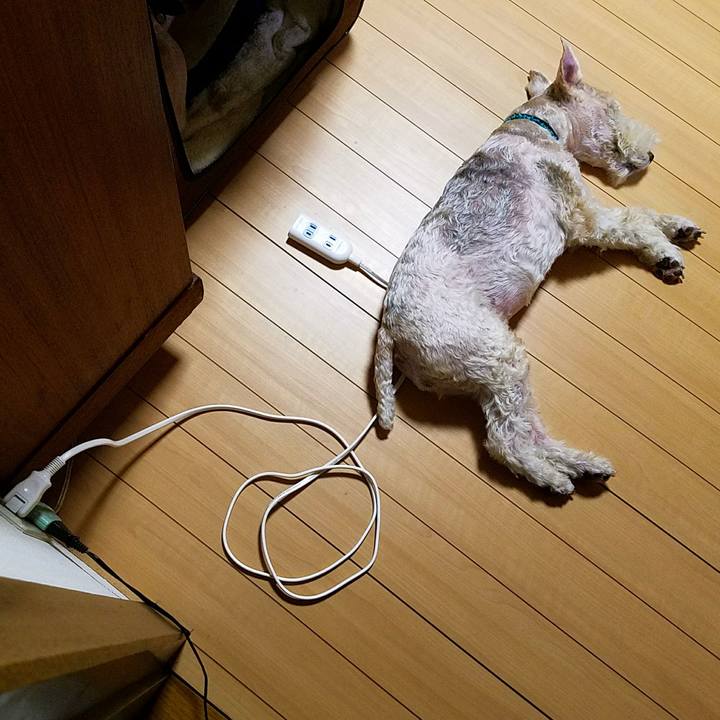 8d31f528 6403 4b6a 8038 e8ea2295fc14