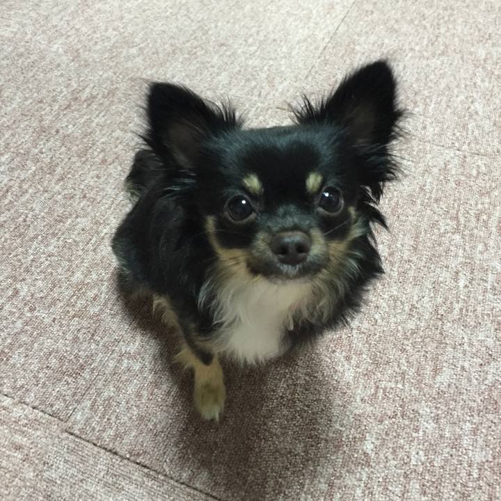 8d321873 4617 48cd 85d5 452c30667129