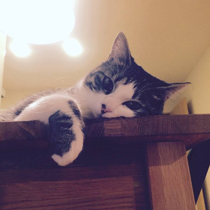 8d322f48 3f90 4b53 94cd 1adf293bc339