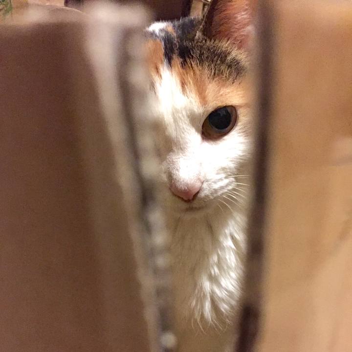 8d32c77e f311 4673 87c5 638b39f5773d