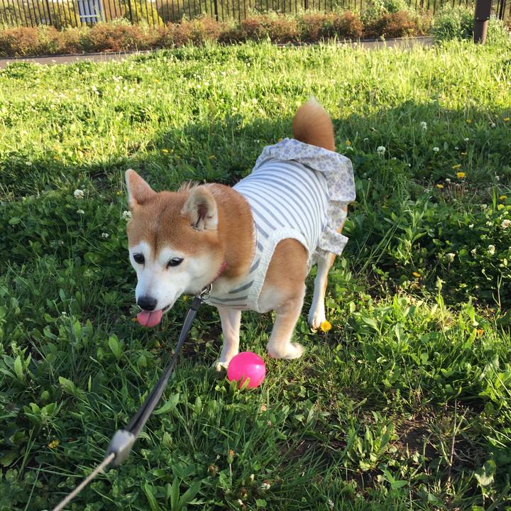 8d337893 12c8 49d7 87c0 1b42c1f4f4a9