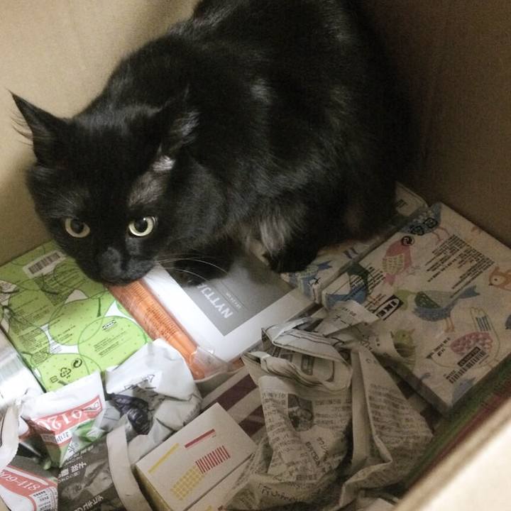 8d34076c 1a0e 4042 8862 b0ff7a7c4793