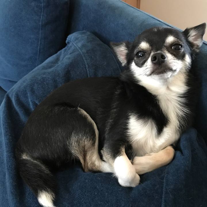 8d356889 1fd5 4861 b14e 726950fa383d