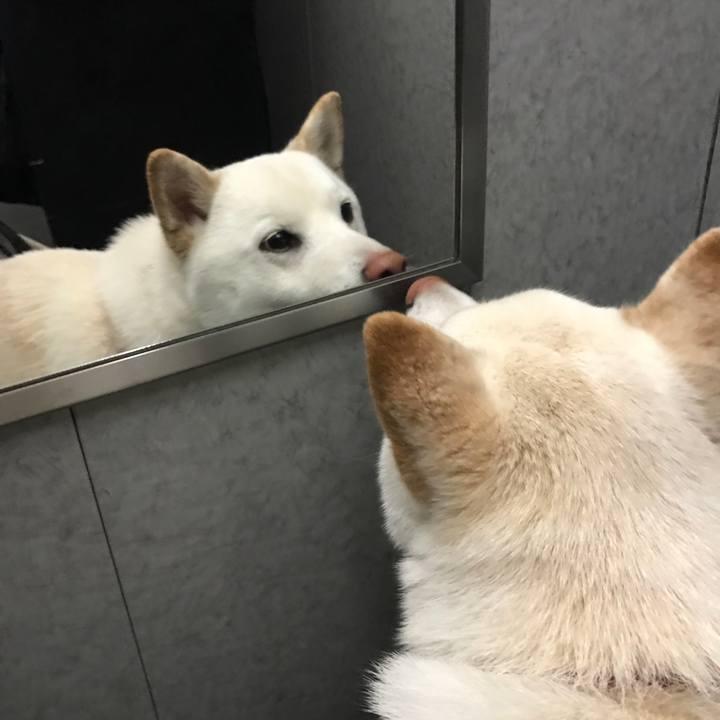 8d3582e8 2849 4995 a09c 25af36f1d964