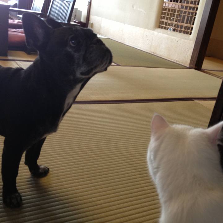 8d359c33 4fc0 4b06 ab4e f422466e6e85