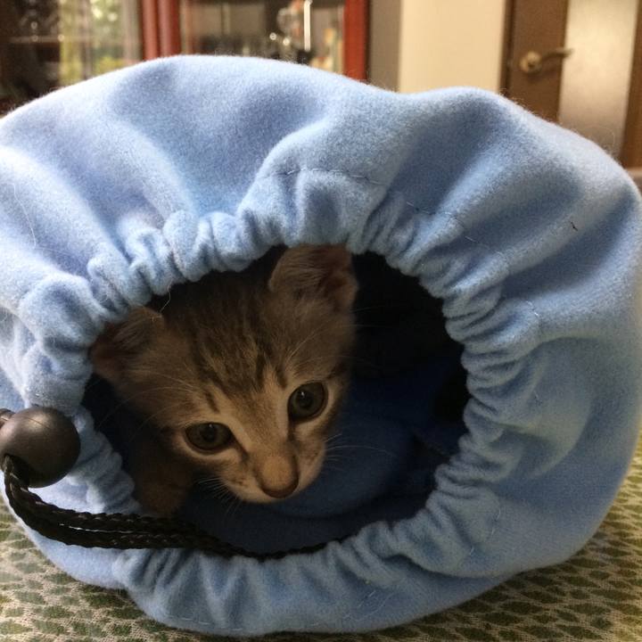 8d36949c f7b1 48fe 8b15 b9a92aa2d394