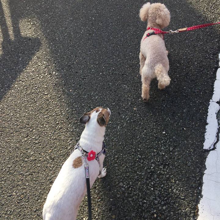 8d36cb5b e259 469d b9b2 ccaf5c806e6b