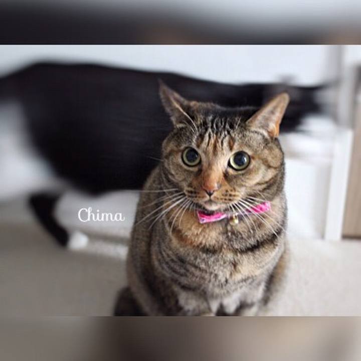 8d36f2be 4413 45db 95c3 f0a43768cd83