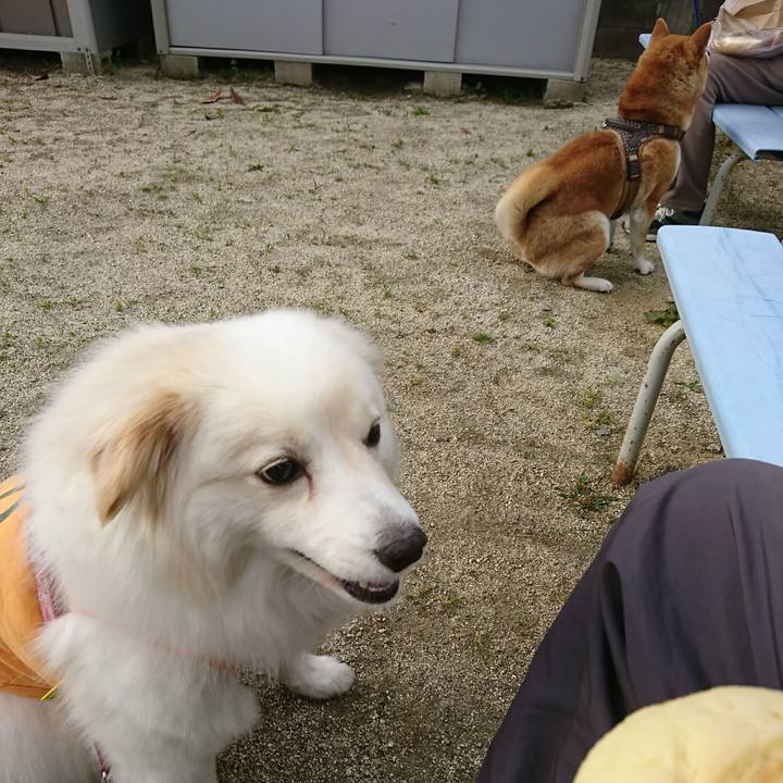 8d3779e9 99bf 4ccf 967e 12b7957a4e0a