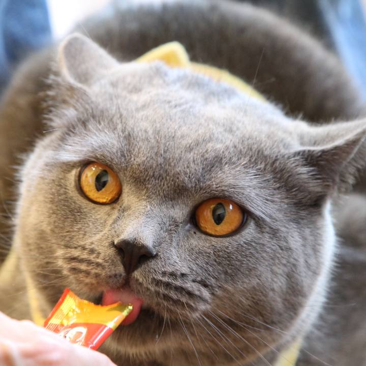 8d379e38 f193 49fc a662 0c31c4ac7dd1